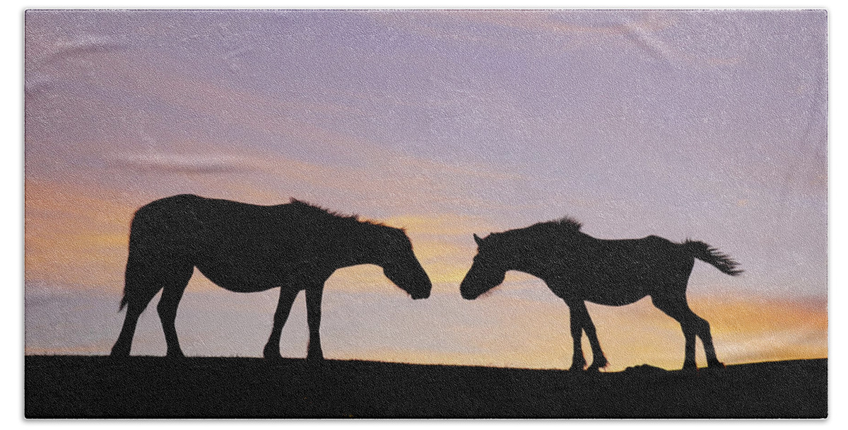 00648198 Beach Towel featuring the photograph Misaki Horse Mare And Foal by Hiroya Minakuchi