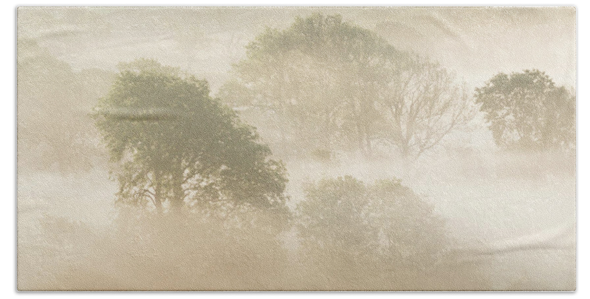 Mist Beach Towel featuring the photograph Mist in the Vale by Anita Nicholson
