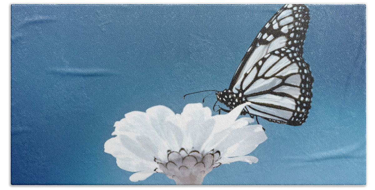 Ir Infra Red Infrared Monarch Butterfly Butterflies Flower Flowers Floral Botany Botanical Outside Outdoors Nature Natural Insect Ma Mass Massachusetts U.s.a. Brian Hale Brianhalephoto Fine Art 720nm Beach Towel featuring the photograph Monarch in Infrared 3 by Brian Hale