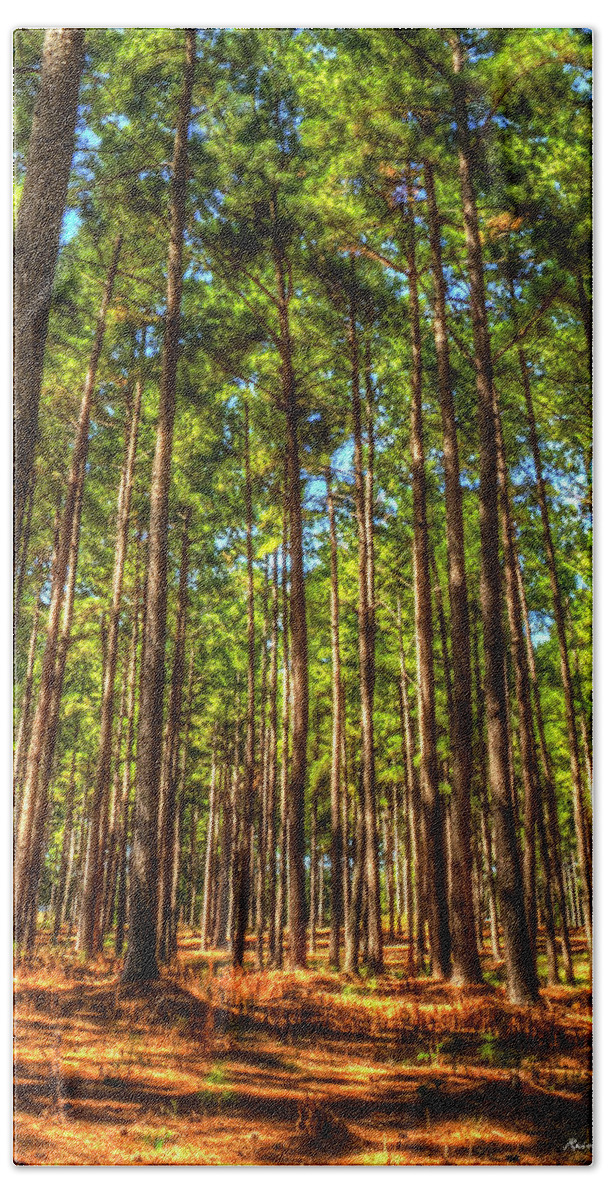 Reid Callaway Pine Tree Images Beach Towel featuring the photograph Money Growing On Trees 7 Georgia Pine Tree Forest Art by Reid Callaway