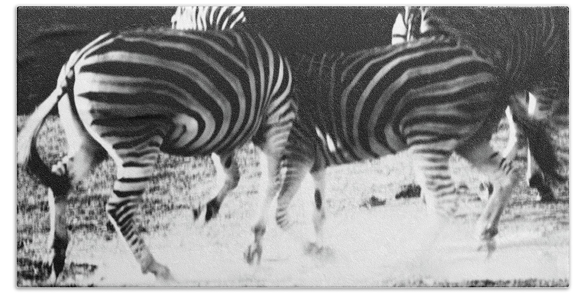 Zebra Beach Towel featuring the photograph Monochrome Motion by Mark Hunter