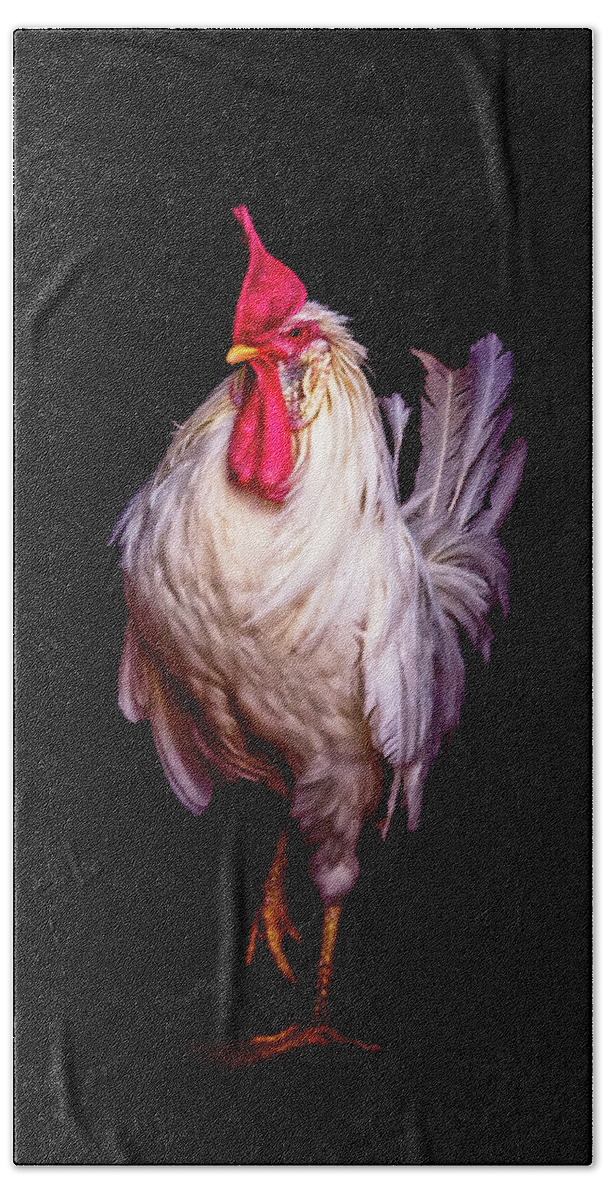 Rooster Beach Towel featuring the photograph Monsieur Le Coq by Maggie Terlecki