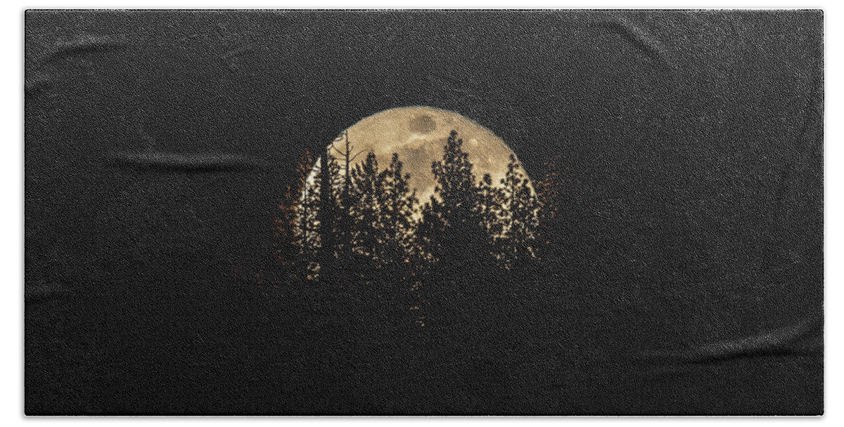 Moon Beach Towel featuring the photograph Moon and Pines by Randy Robbins