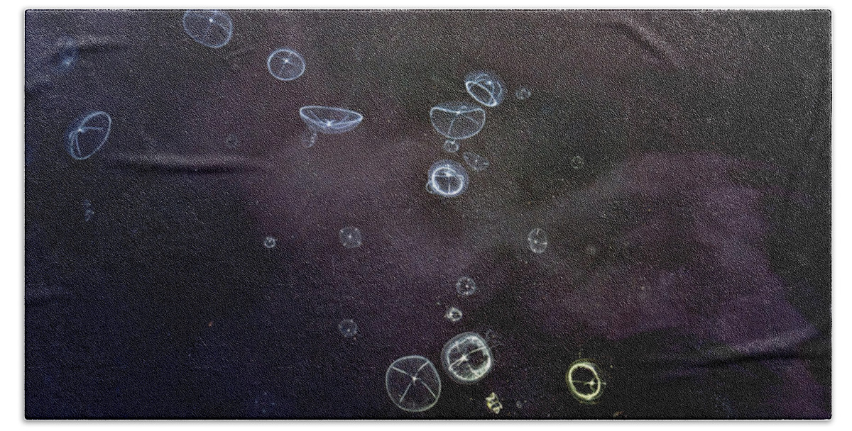Alaska Beach Towel featuring the photograph Moon Jellyfish Universe by Michele Cornelius