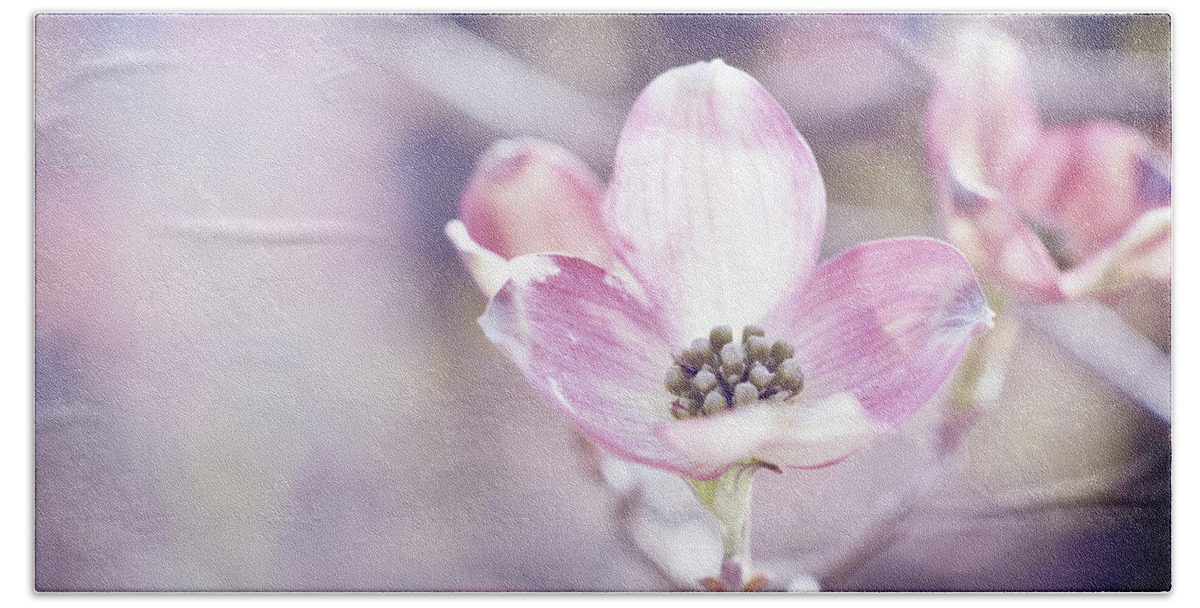 Pink Dogwood Flower Beach Towel featuring the photograph Morning Dogwood by Michelle Wermuth