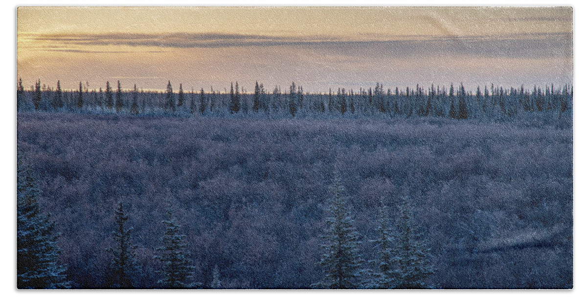 Dawn Beach Towel featuring the photograph Morning Frost by Mark Hunter
