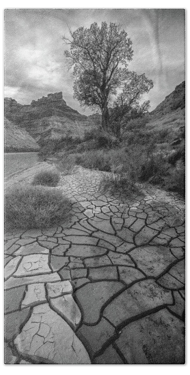 Black And White Beach Sheet featuring the photograph Mosaic River Bank by Geoffrey Ferguson
