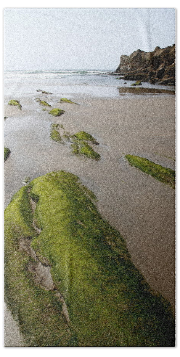Moss; Ocean; Beach; Scenery; Pathway; Geology Beach Towel featuring the photograph Moss Path by Tammy Hankins