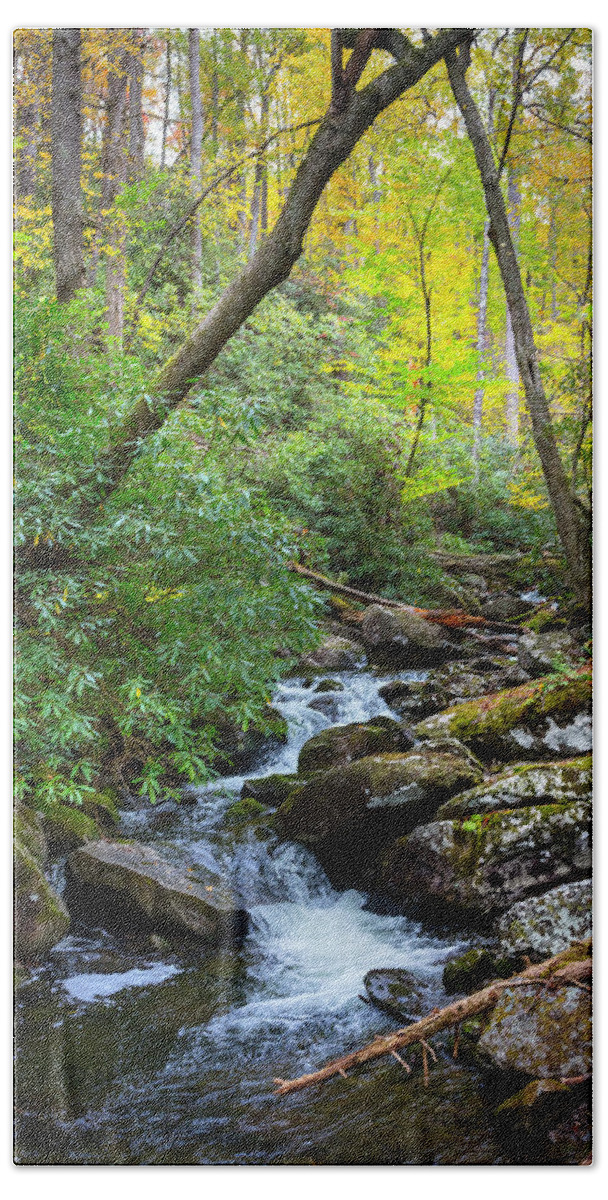 Appalachia Beach Towel featuring the photograph Mossy Stream Under the Trees by Debra and Dave Vanderlaan