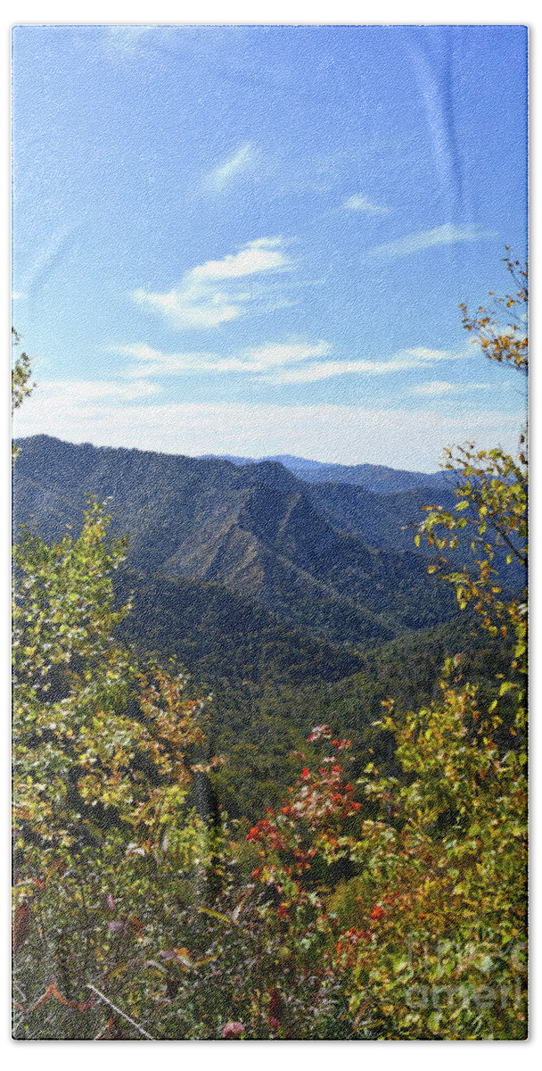 Mount Leconte Beach Towel featuring the photograph Mount LeConte 6 by Phil Perkins