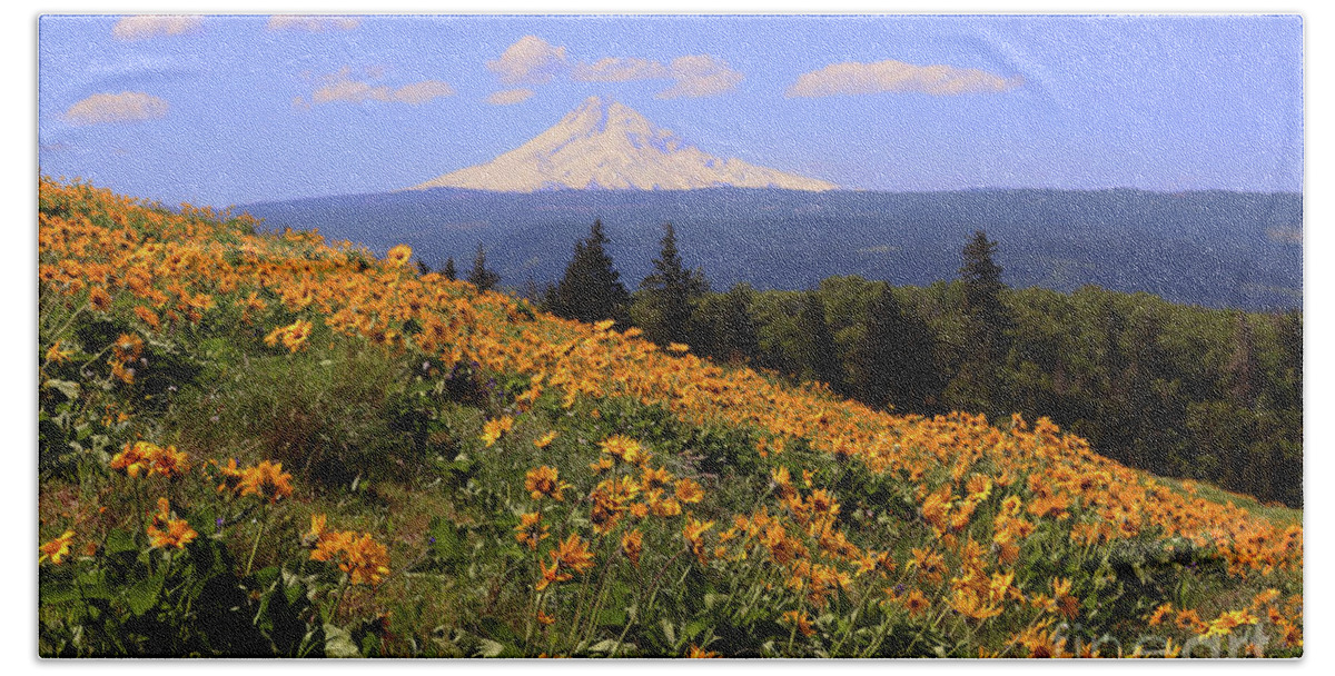 Oak Tree Beach Towel featuring the photograph Mt. Hood, Rowena Crest by Jeanette French