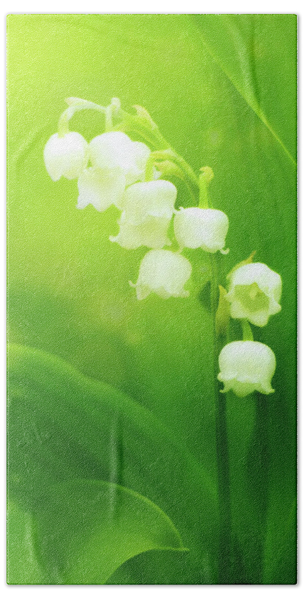 Lily Of The Valley Beach Towel featuring the photograph Muguet Melody by Iryna Goodall