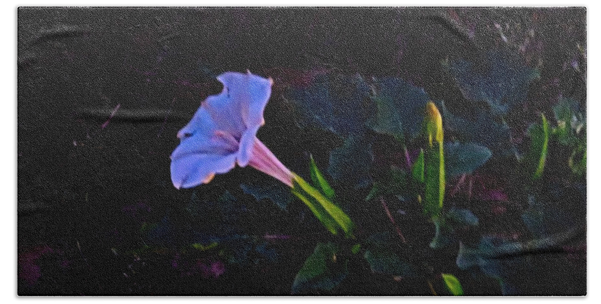 Arizona Beach Towel featuring the photograph Mysterious Moonflower by Judy Kennedy