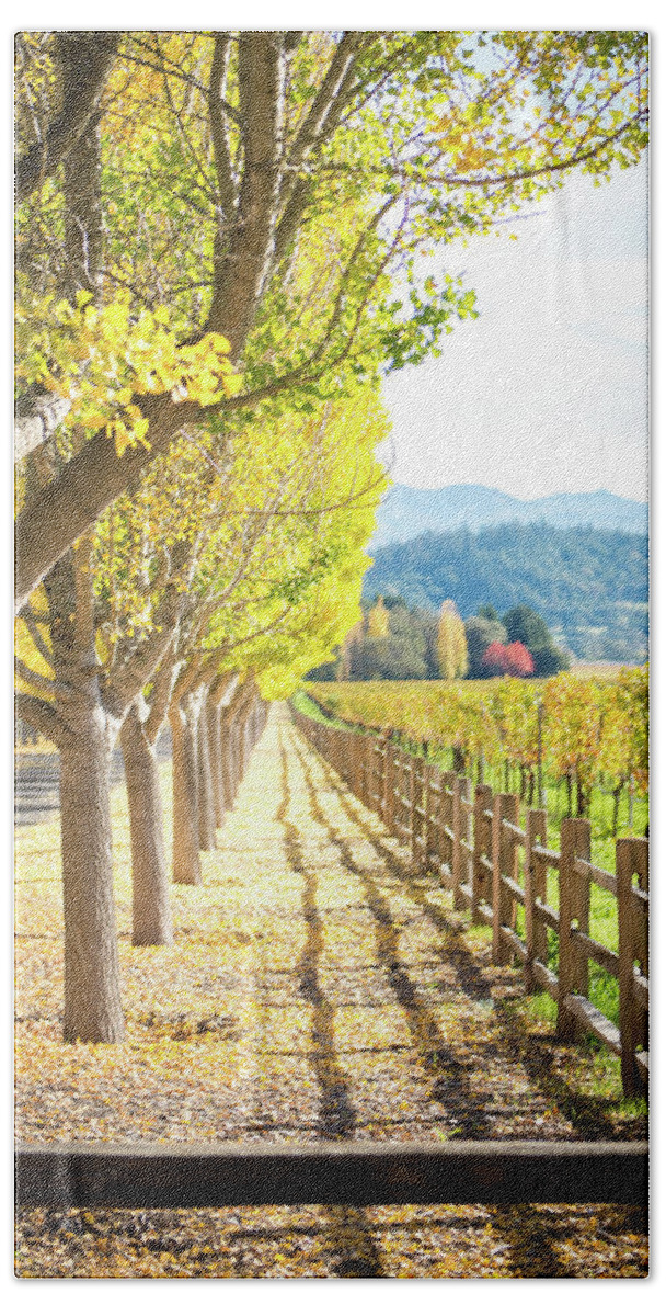 Landscape Beach Towel featuring the photograph Napa Valley Fall by Aileen Savage
