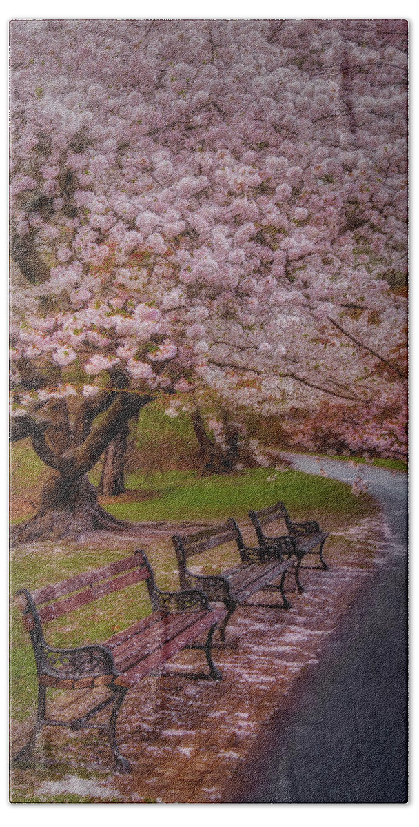 Cherry Blossom Beach Towel featuring the photograph Natures After Party Confetti by Susan Candelario