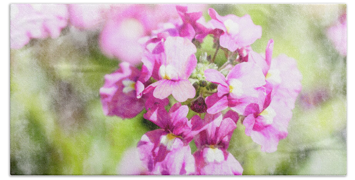 Pink Flowers Beach Sheet featuring the digital art Nemesia by Tanya C Smith