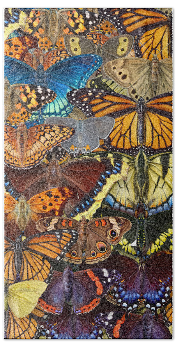 Butterfly Beach Towel featuring the digital art Butterfly Puzzle Image by Patrick Lynch