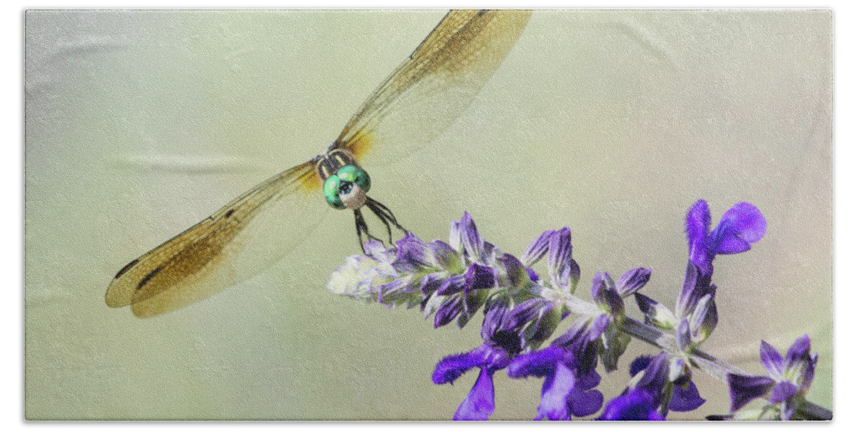 Dragonfly Beach Sheet featuring the photograph Nose to Nose by Alex Lapidus