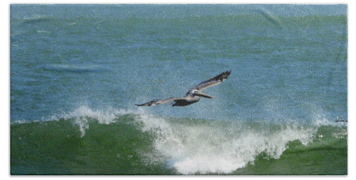 Pelicans Beach Towel featuring the photograph Ocean Flyer by Scott Cameron