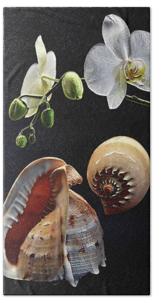 Orchid Beach Towel featuring the photograph Orchid and two seashells by Andrei SKY