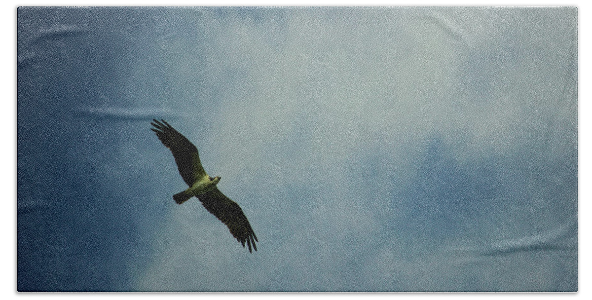 Idaho Beach Towel featuring the photograph Osprey in flight by Jean Evans