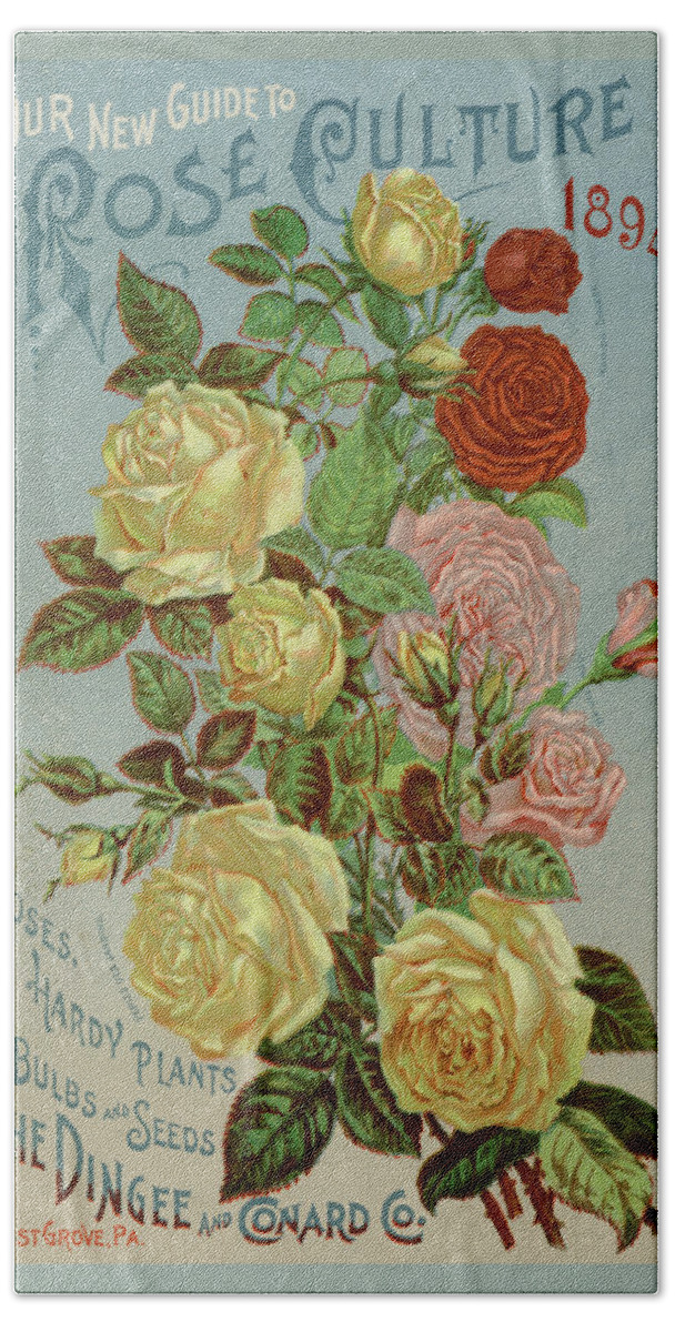 Roses Beach Towel featuring the painting Our New Guide to Rose Culture, 1894 by Unknown