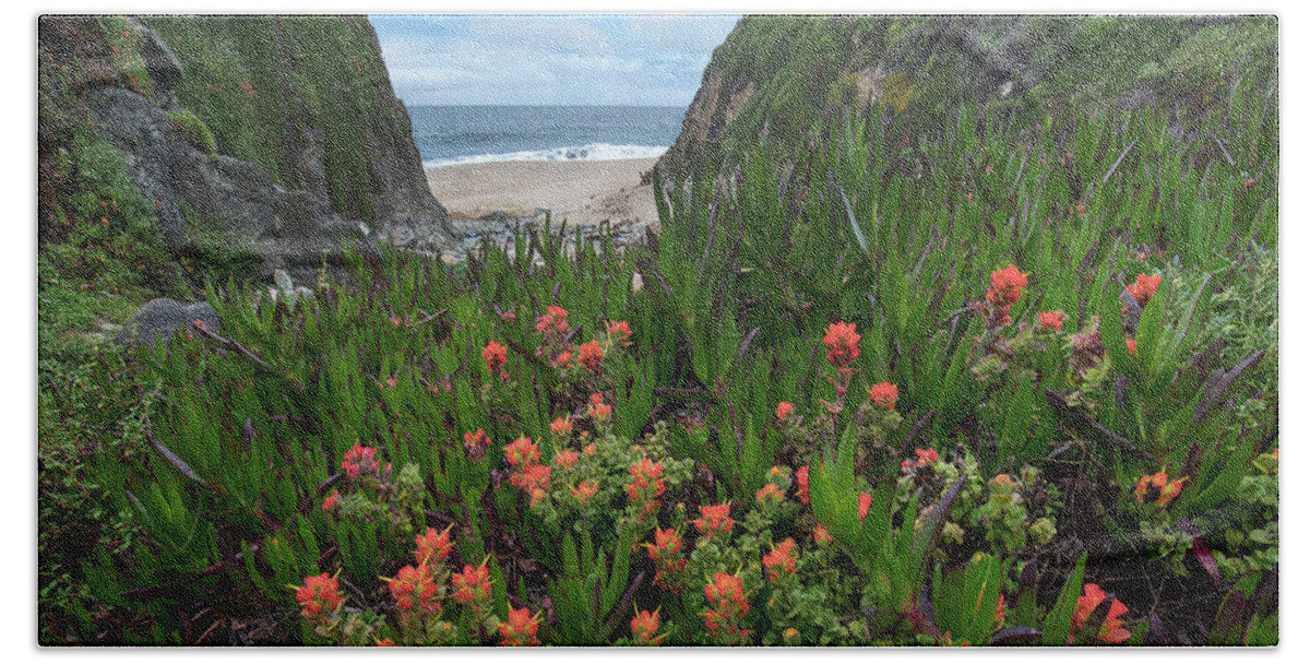 00571627 Beach Towel featuring the photograph Paintbrush And Ice Plant, Garrapata State Beach, Big Sur, California by Tim Fitzharris