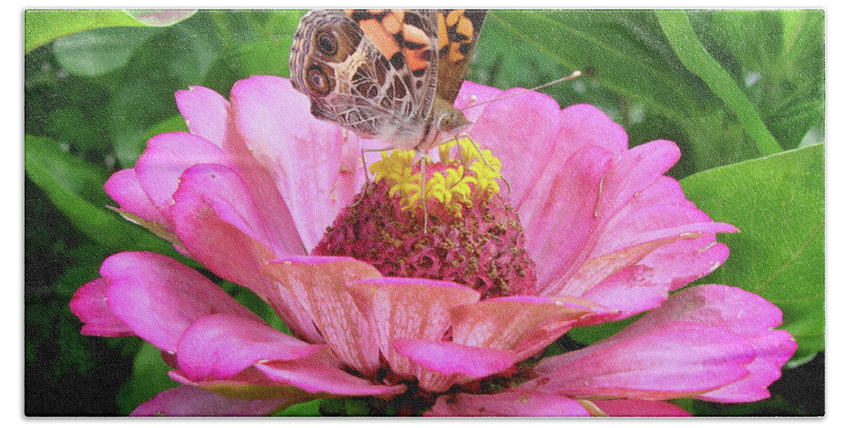 Painted Lady Beach Towel featuring the photograph Painted Lady and Zinnia 10 by Amy E Fraser