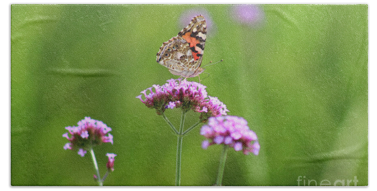 Painted Lady Butterfly Beach Towel featuring the photograph Painted Lady Butterfly in Green Field by Karen Adams