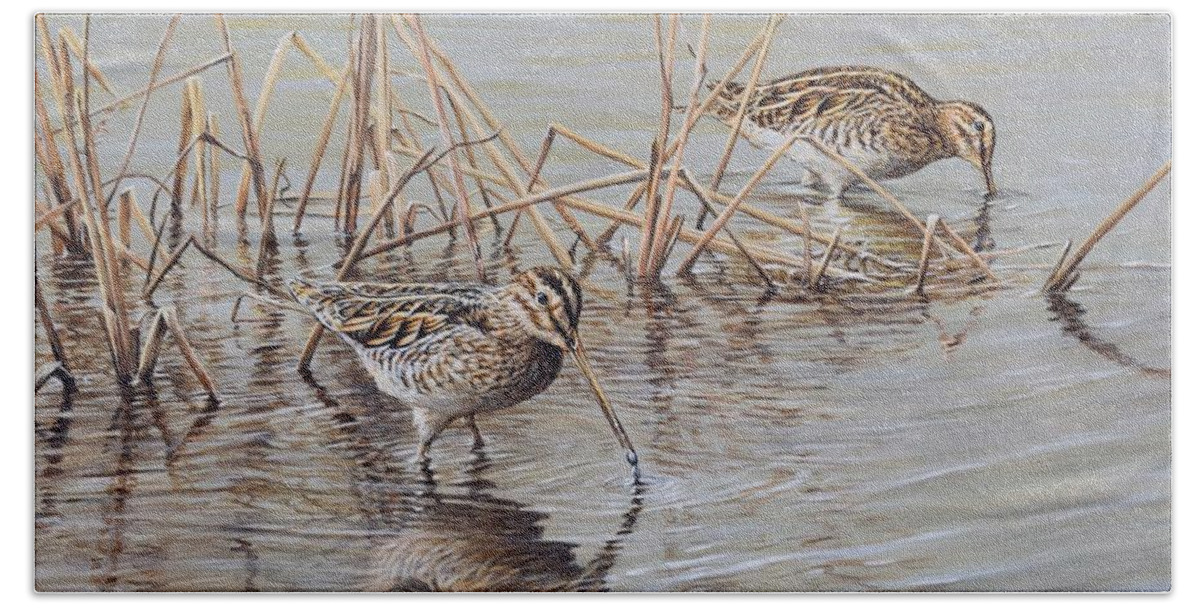 Snipe Beach Towel featuring the painting Pair of Snipe by Alan M Hunt by Alan M Hunt