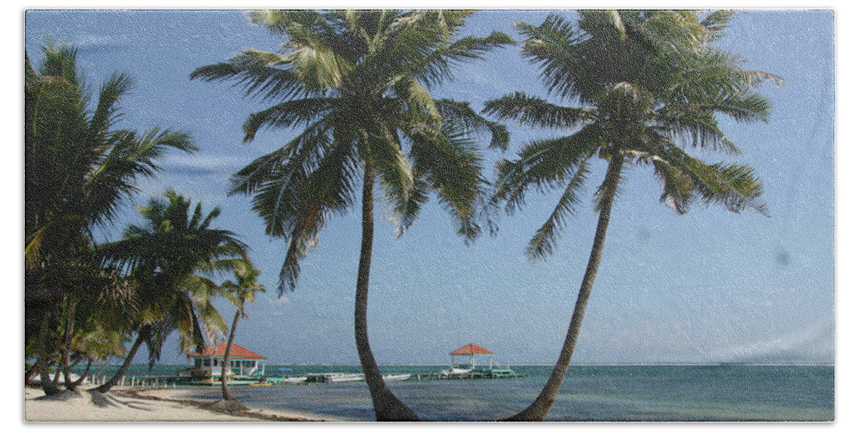 Palm Trees Beach Towel featuring the photograph Palm tree breeze by Leslie Struxness