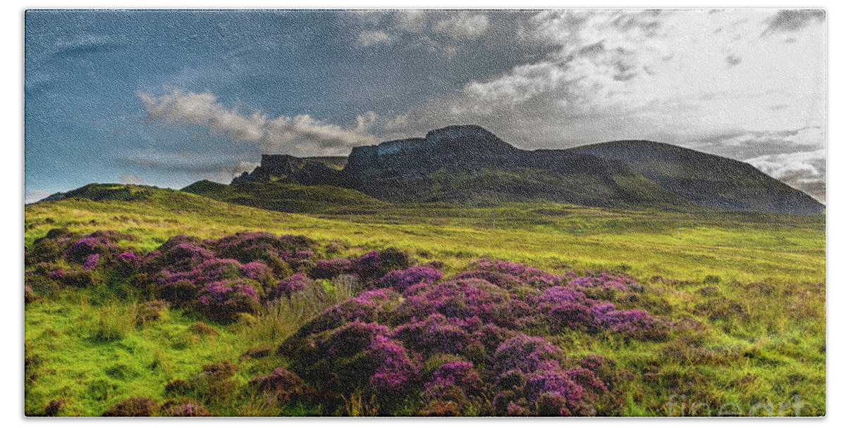 Abandoned Beach Towel featuring the photograph Pasture With Blooming Heather In Scenic Mountain Landscape At The Old Man Of Storr Formation On The by Andreas Berthold