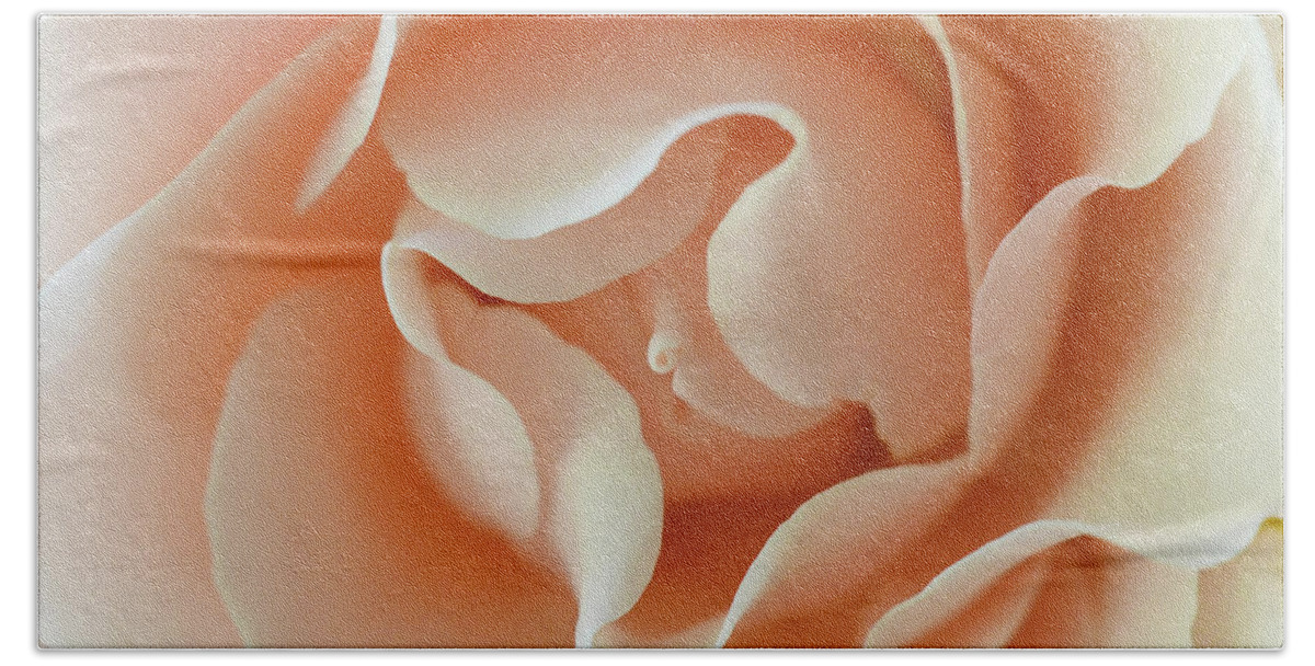 Peach Beach Towel featuring the photograph Peach Curls by Michelle Wermuth