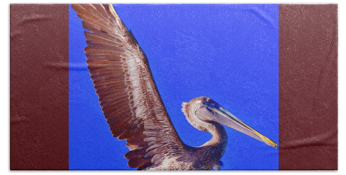 Pelican Beach Towel featuring the photograph Pelican at Gulf State Park Pier by Debra Grace Addison