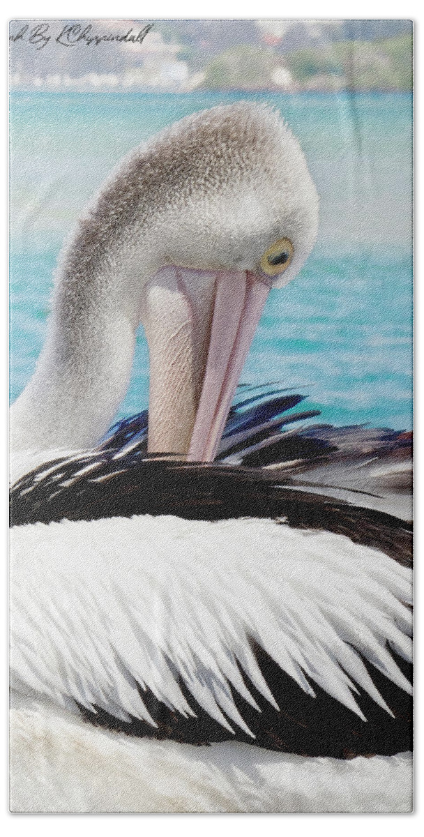 Pelicans Beach Towel featuring the digital art Pelican beauty 99920 by Kevin Chippindall
