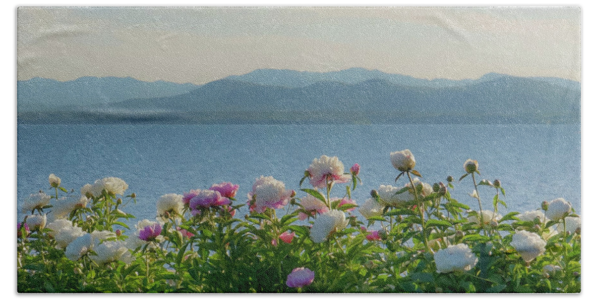 Peonies Beach Towel featuring the photograph Peonies by Ann Moore
