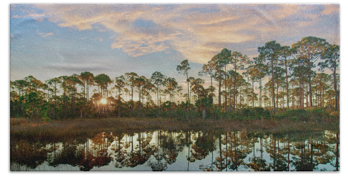 00586456 Beach Towel featuring the photograph Pines At Sunrise, St. Joseph Bay State Buffer Preserve, Florida by Tim Fitzharris