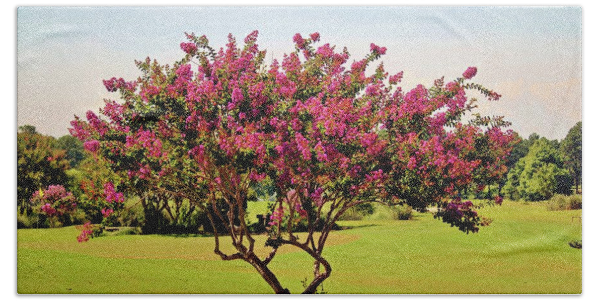 Myrtle Beach Towel featuring the photograph Pink Crepe Myrtle by Cynthia Guinn