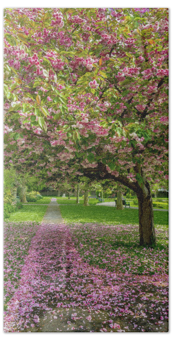 Bright Beach Towel featuring the photograph Pink Petals on the Path by Roslyn Wilkins