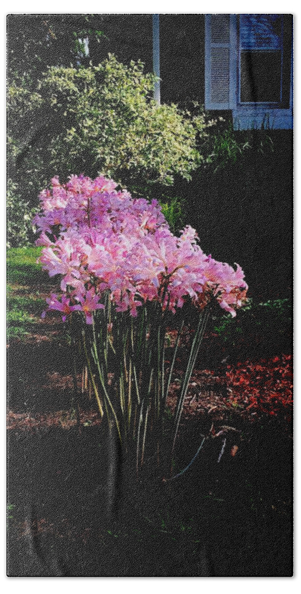 Flowers Beach Towel featuring the photograph Pink Sunlit Flowers in the Neighborhood by Frank J Casella