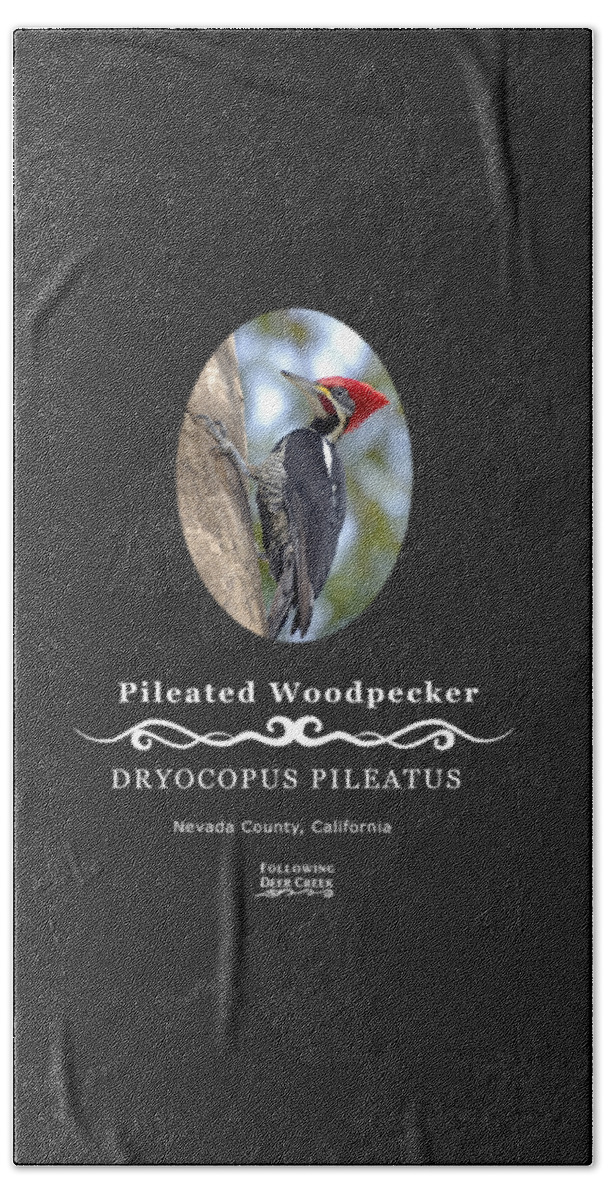Picidae Beach Towel featuring the digital art Pleated Woodpecker by Lisa Redfern