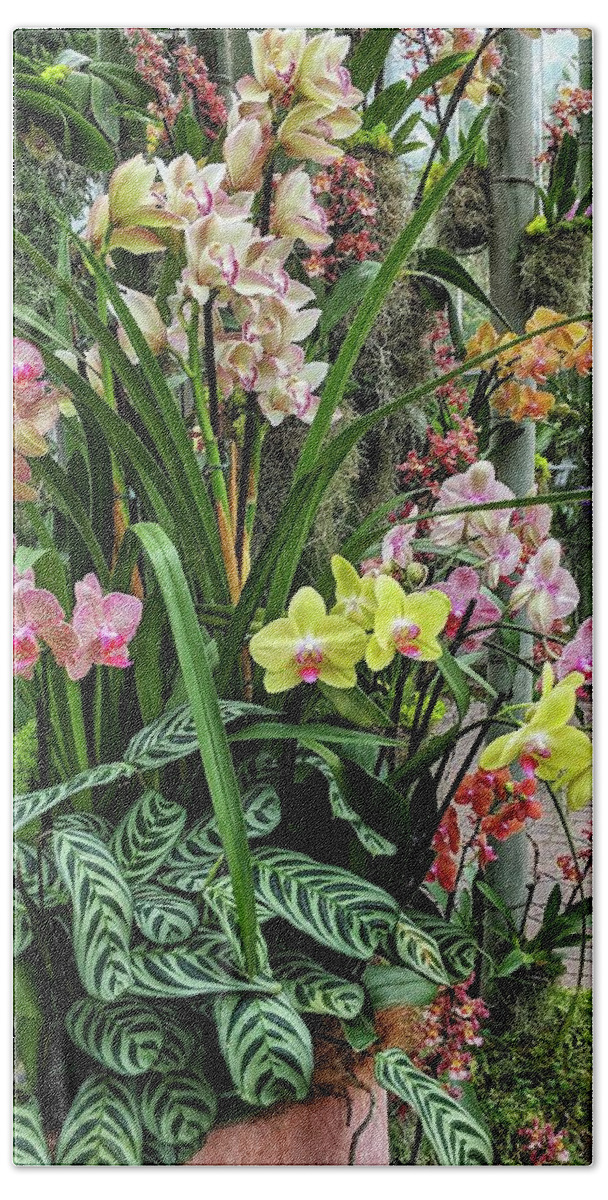 Flower Beach Towel featuring the photograph Plentiful Orchids by Portia Olaughlin