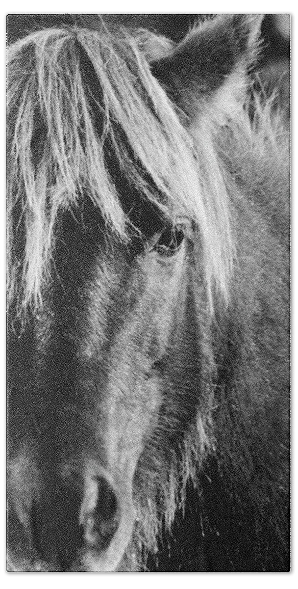 Wild Horse Beach Towel featuring the photograph Portait of a Wild Mustang by Bob Decker