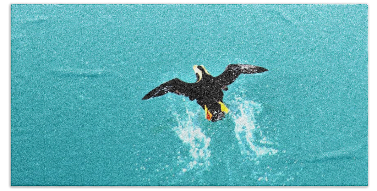 Puffin Beach Towel featuring the photograph Puffin Takeoff by FD Graham
