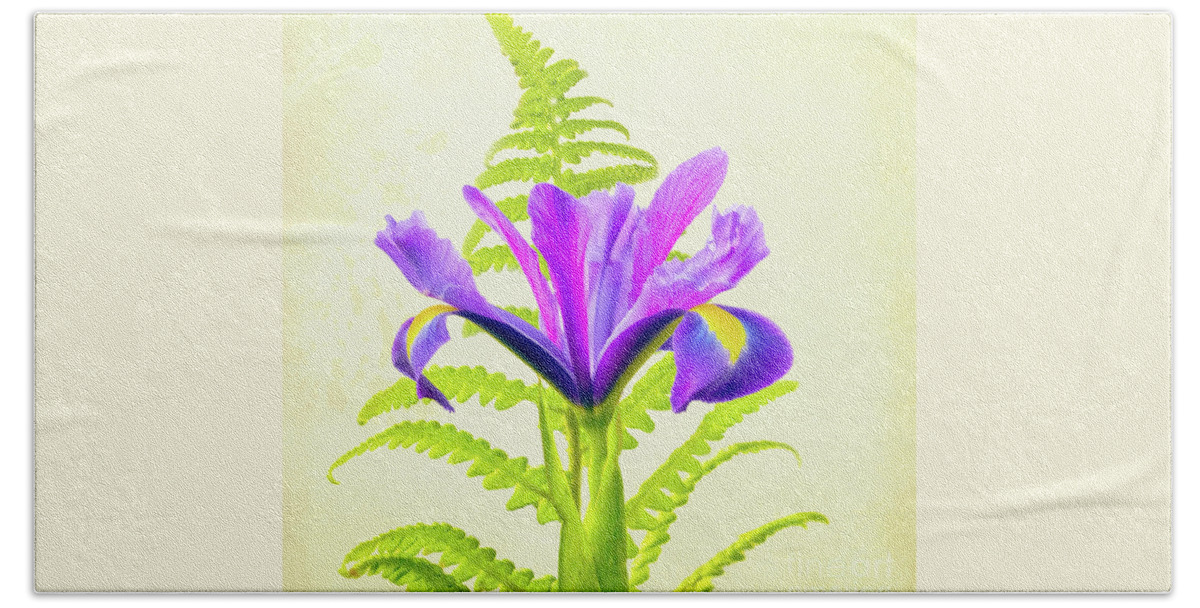 Flower Beach Towel featuring the photograph Purple and Blue Iris by Terri Waters