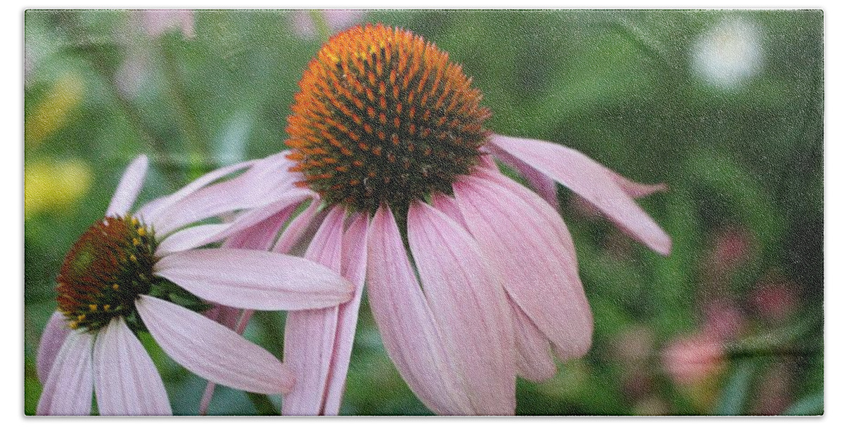 Purple Beach Sheet featuring the photograph Purple Coneflower Pair by Christopher Lotito