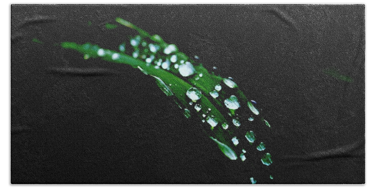 Leaf Beach Towel featuring the photograph Rain On A Green Leaf In Black by Alida M Haslett
