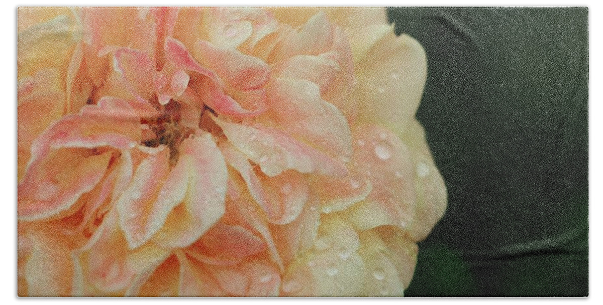 Roses Beach Sheet featuring the photograph Rain Softly On Me by The Art Of Marilyn Ridoutt-Greene