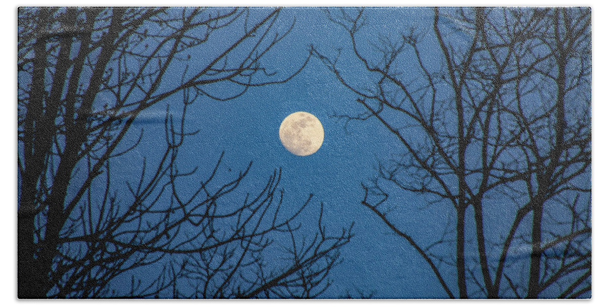 Moon Beach Towel featuring the photograph Reaching for the Moon by Dale R Carlson