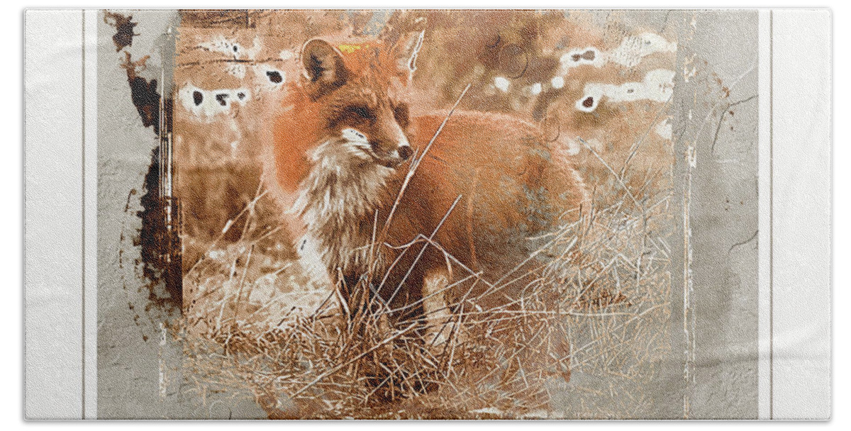 Animals Beach Towel featuring the mixed media Red Fox . Digital art by Elaine Manley